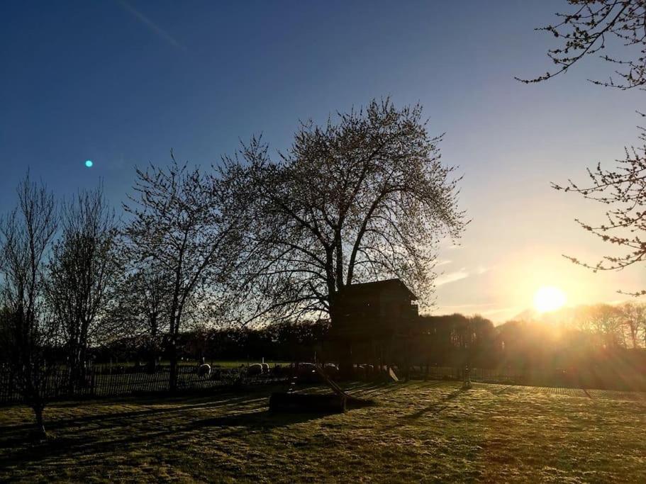 Gerestaureerde Hoeve Met Zicht Durbuy Buitenkant foto