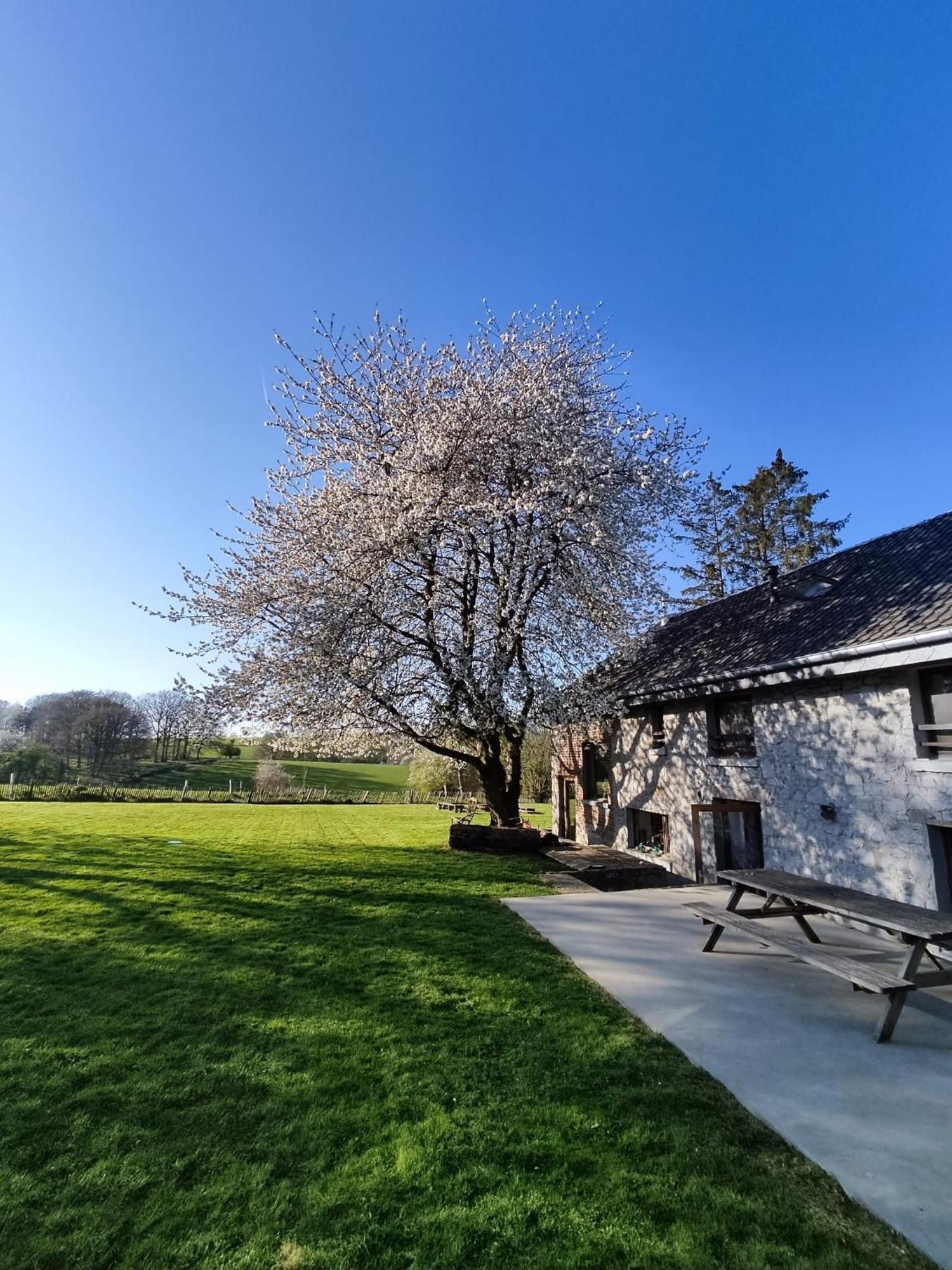 Gerestaureerde Hoeve Met Zicht Durbuy Buitenkant foto
